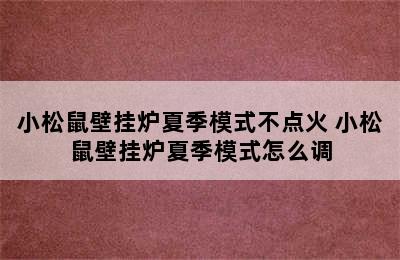 小松鼠壁挂炉夏季模式不点火 小松鼠壁挂炉夏季模式怎么调